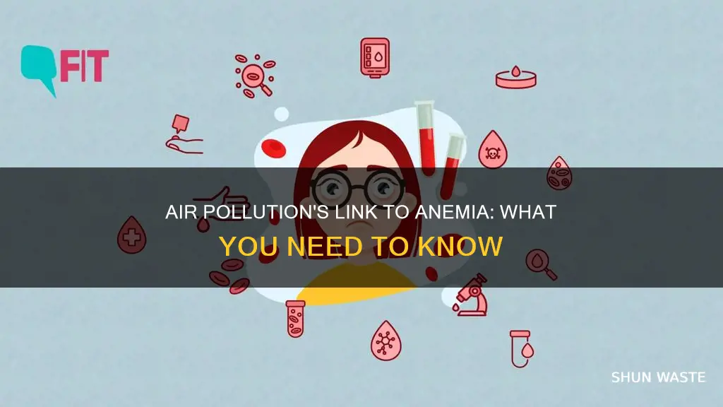 can air pollution cause anemia