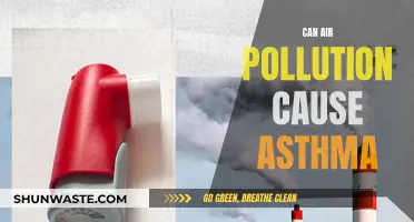 Air Pollution and Asthma: Is There a Link?