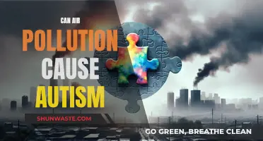 Air Pollution's Link to Autism: A Complex Concern