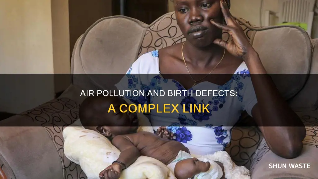 can air pollution cause birth defects