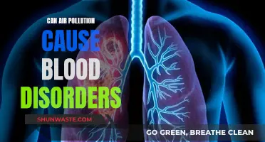 Air Pollution's Link to Blood Disorders Explored