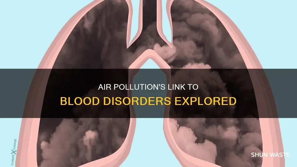 can air pollution cause blood disorders