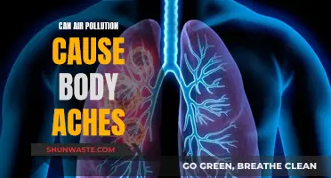 Air Pollution's Impact: Body Aches and Pains