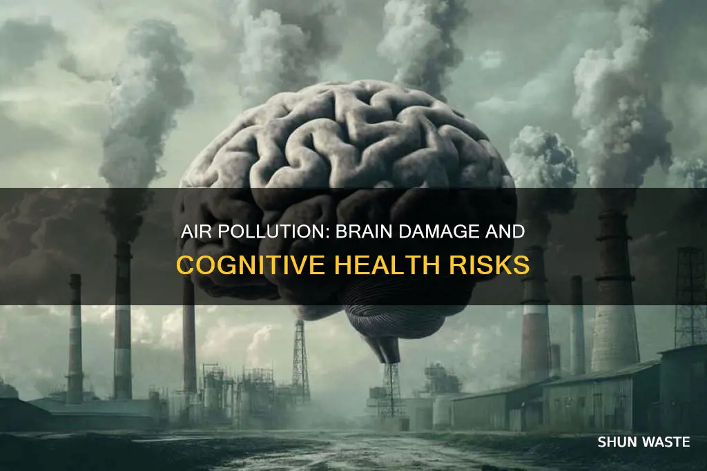 can air pollution cause brain damage