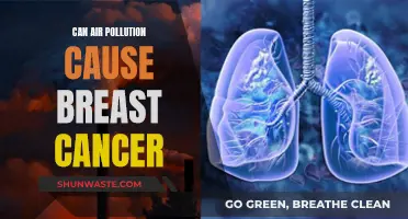 Air Pollution and Breast Cancer: Is There a Link?