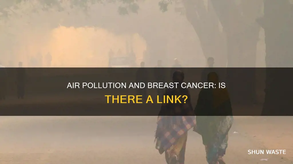 can air pollution cause breast cancer