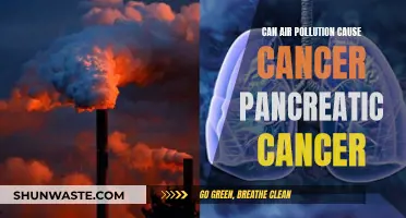 Air Pollution and Pancreatic Cancer: A Deadly Link?