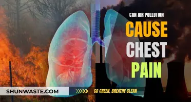 Air Pollution and Chest Pain: Is There a Link?