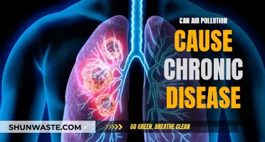 Air Pollution: Chronic Disease Trigger?