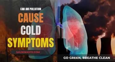 Air Pollution and Cold Symptoms: Is There a Link?