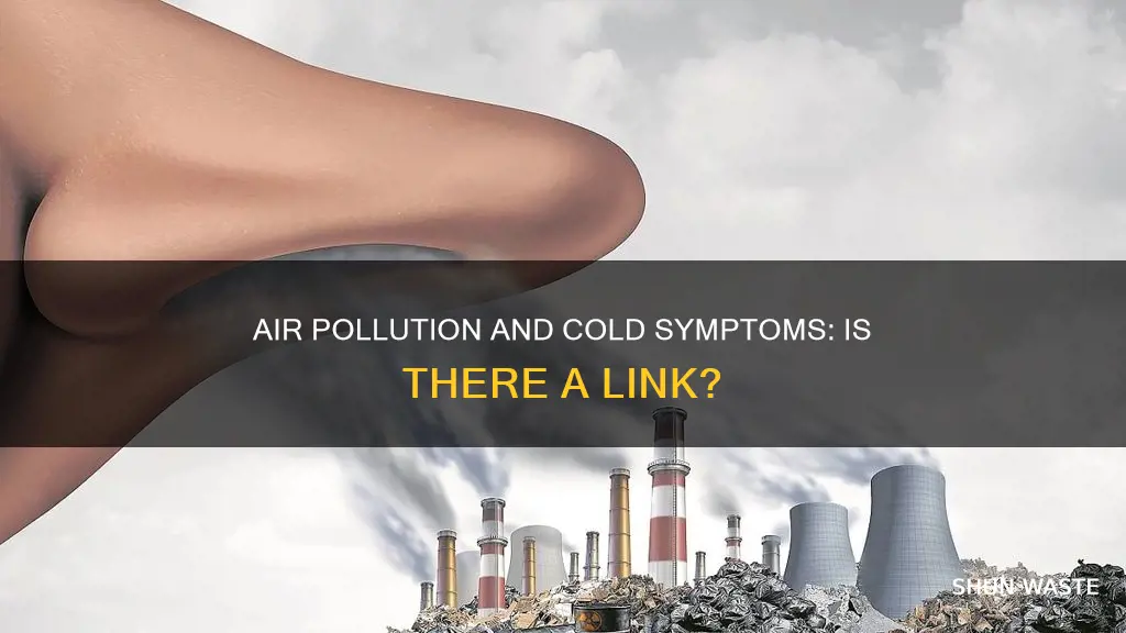 can air pollution cause cold symptoms