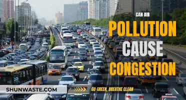 Air Pollution and Congestion: Is There a Link?