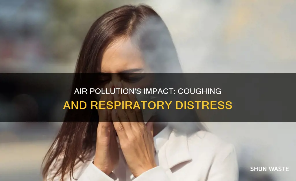 can air pollution cause coughing