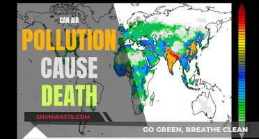 Air Pollution: A Silent Killer?