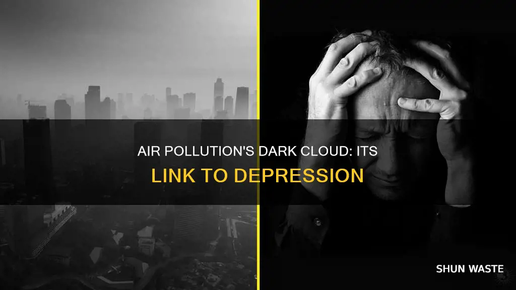 can air pollution cause depression