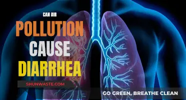 Air Pollution's Surprising Impact: Diarrhea and Gut Health