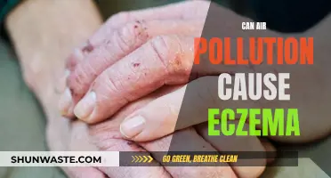 Air Pollution's Link to Eczema: Is There a Connection?