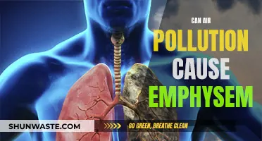 Air Pollution's Link to Emphysema: A Health Warning