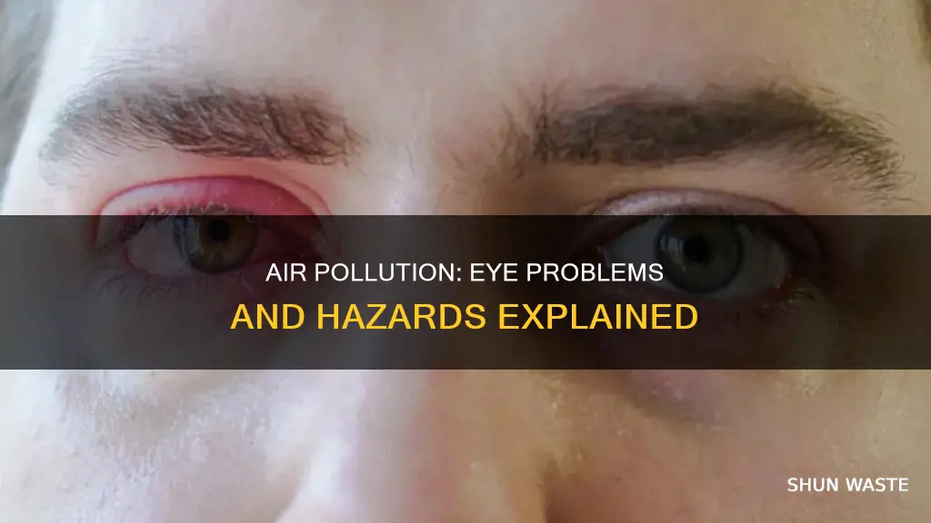 can air pollution cause eye problems