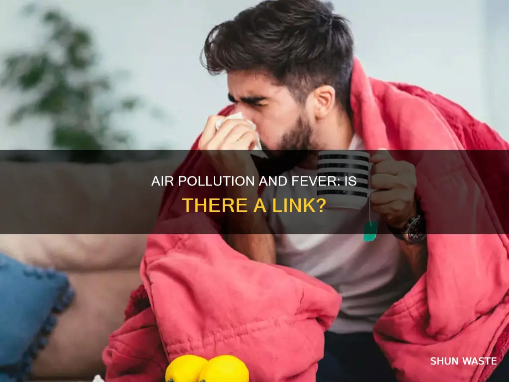 can air pollution cause fever