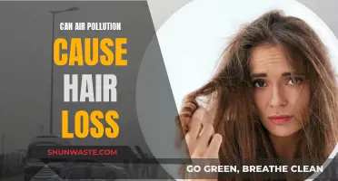 Air Pollution and Hair Loss: Is There a Link?