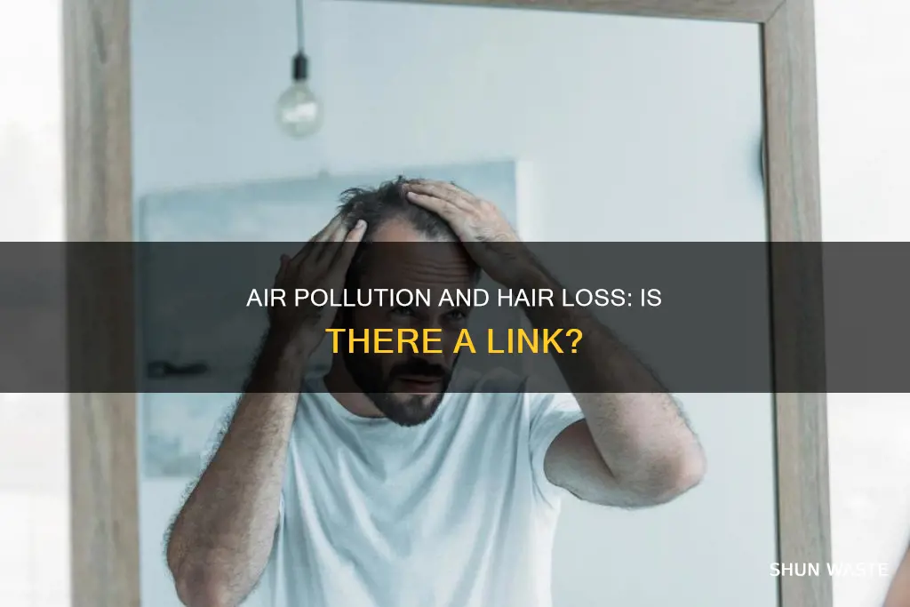 can air pollution cause hair loss