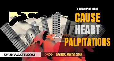 Air Pollution and Heart Palpitations: Is There a Link?