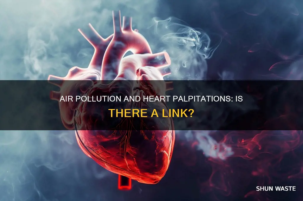 can air pollution cause heart palpitations