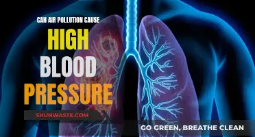 Air Pollution: A Silent Culprit for High Blood Pressure?