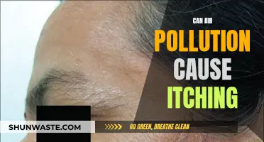 Air Pollution and Itching: Is There a Link?