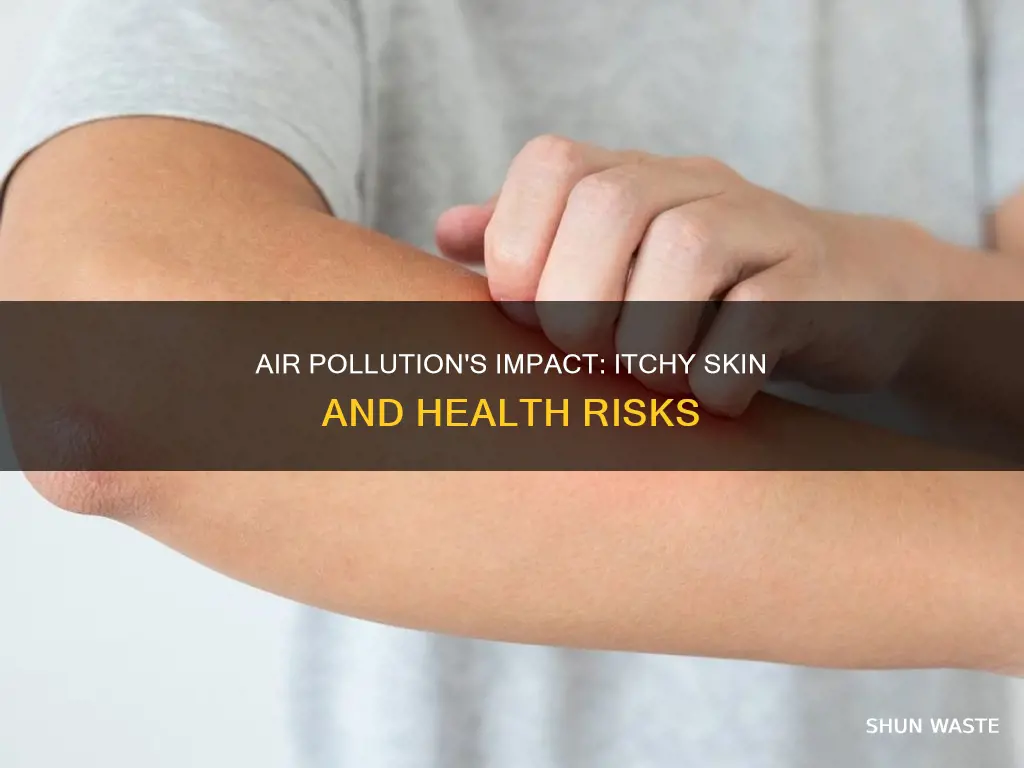 can air pollution cause itchy skin