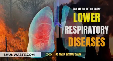 Air Pollution and Lower Respiratory Diseases: A Dangerous Link?