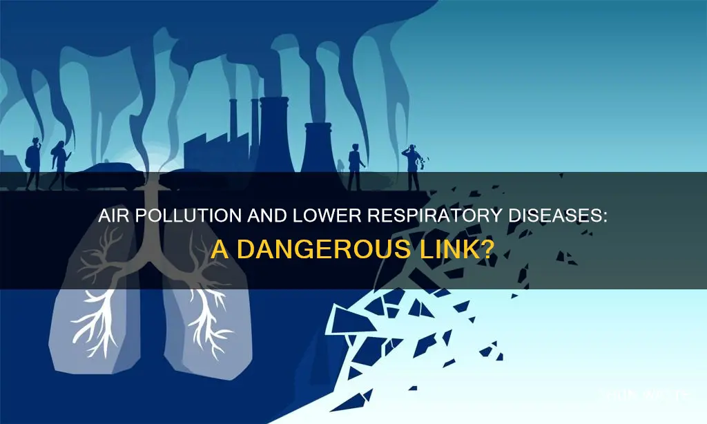 can air pollution cause lower respiratory diseases