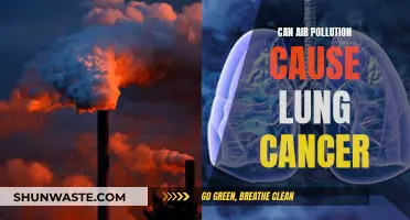 Air Pollution and Lung Cancer: What's the Link?