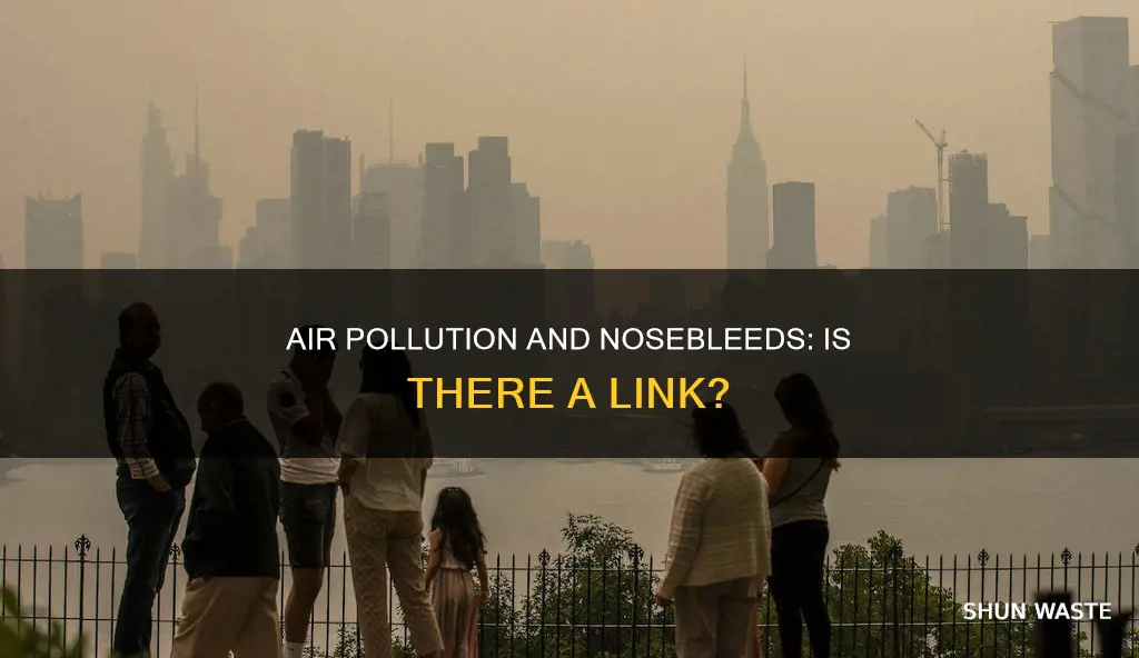 can air pollution cause nosebleeds