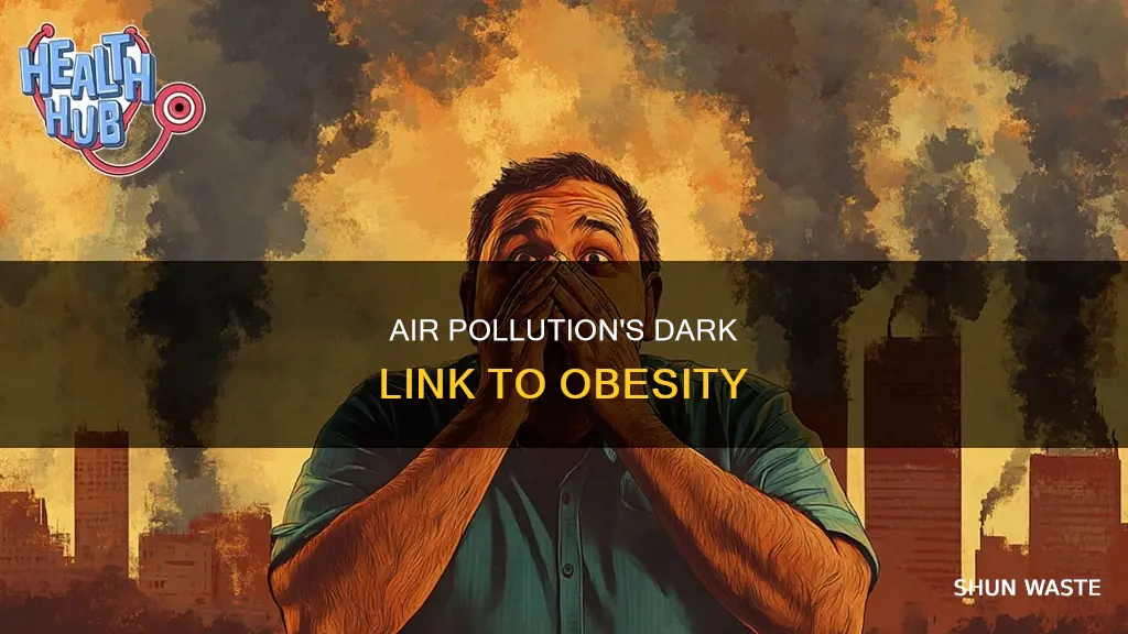 can air pollution cause obesity