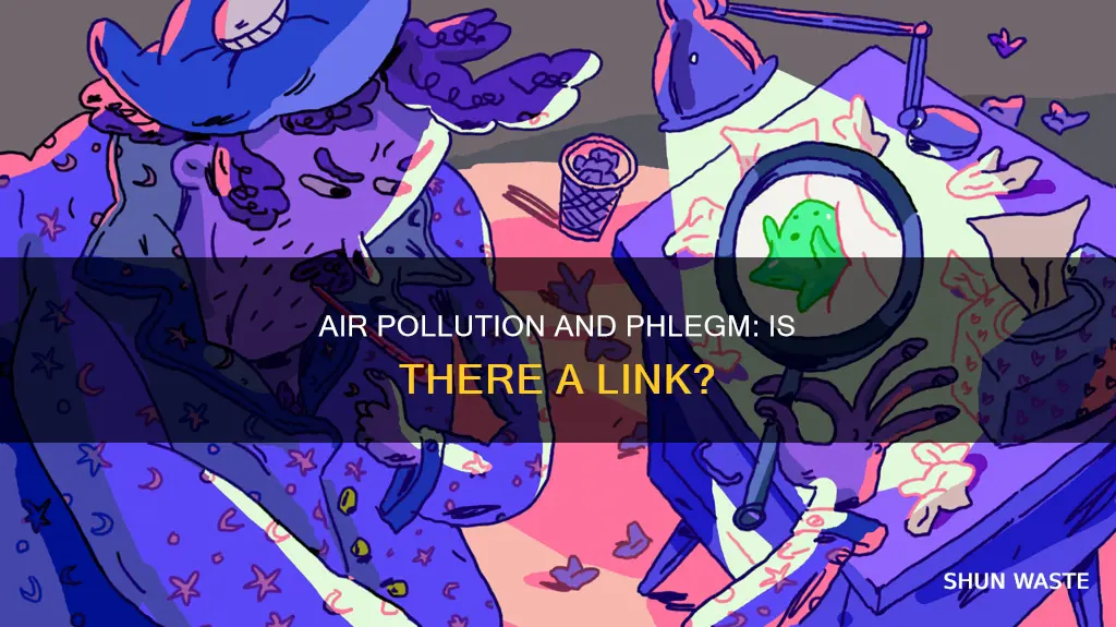 can air pollution cause phlegm