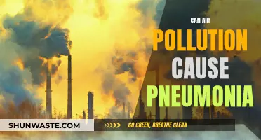 Air Pollution and Pneumonia: A Dangerous Link?