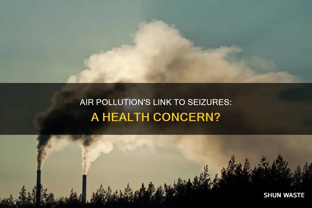 can air pollution cause seizures