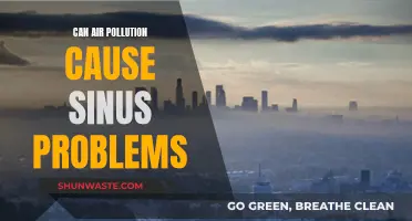 Air Pollution and Sinus Problems: Is There a Link?