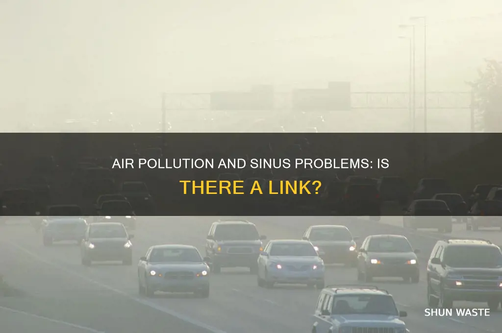 can air pollution cause sinus problems