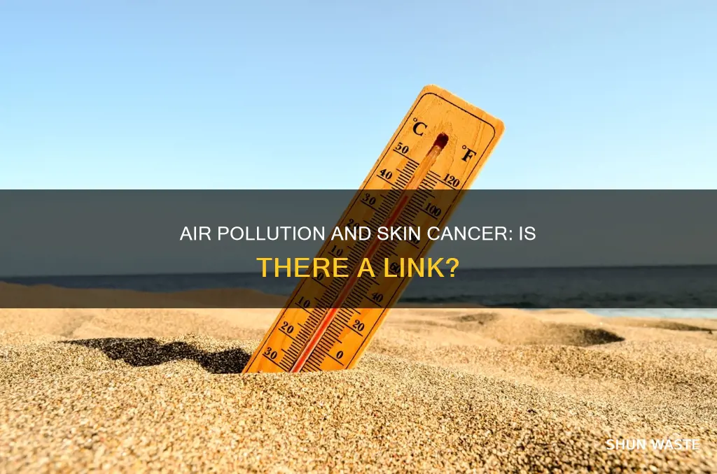 can air pollution cause skin cancer