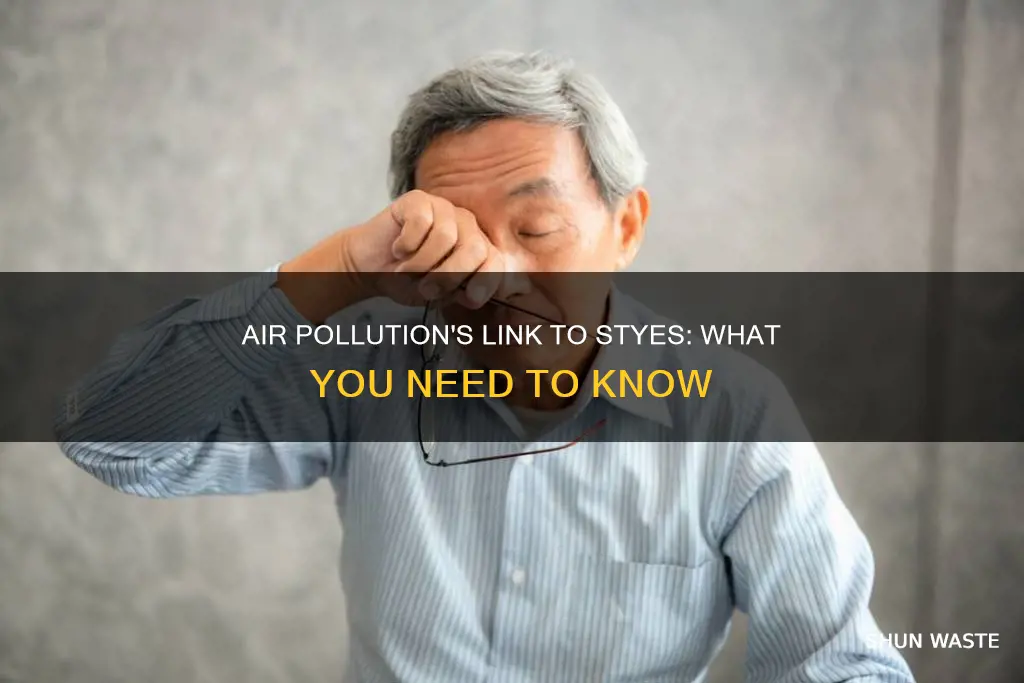 can air pollution cause stye