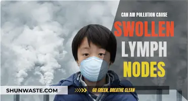 Air Pollution's Link to Swollen Lymph Nodes: What's the Truth?