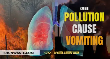 Air Pollution's Impact: Vomiting and Health Risks