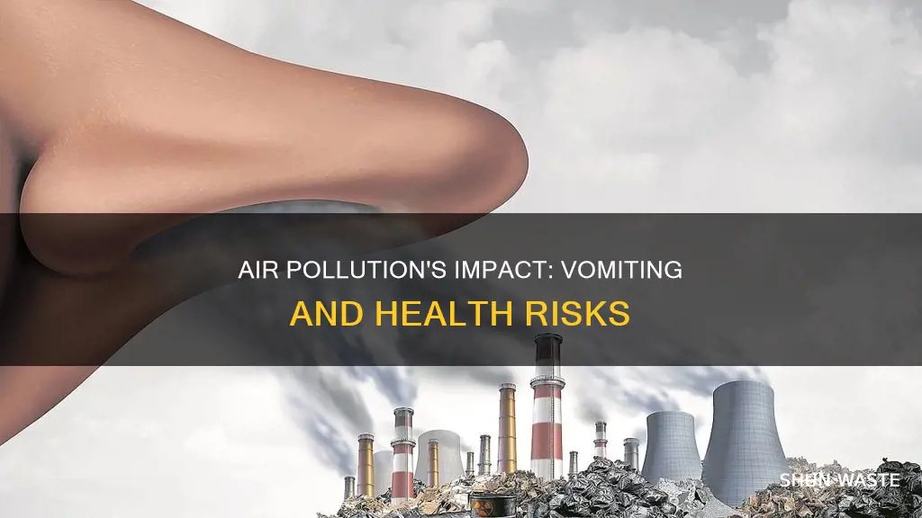 can air pollution cause vomiting