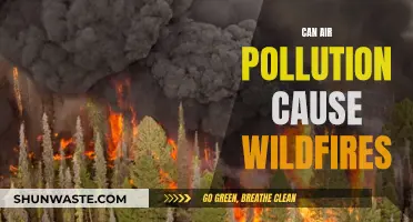 Air Pollution's Wildfire Risk: Understanding the Connection