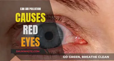 Air Pollution's Eye Impact: Red Eyes and More