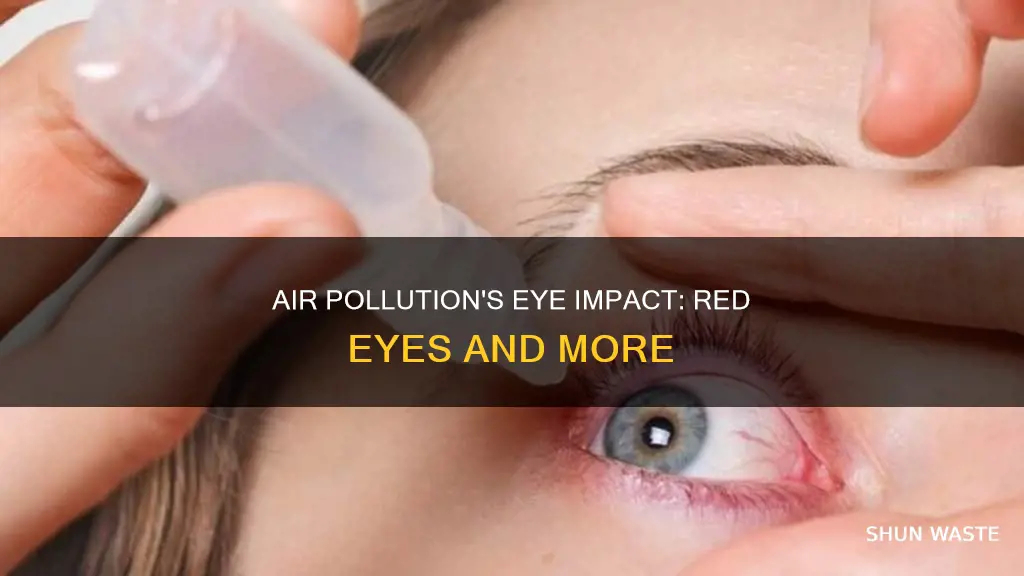 can air pollution causes red eyes