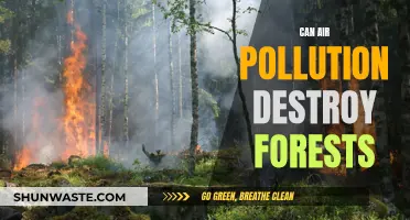 Air Pollution's Devastating Impact on Forests